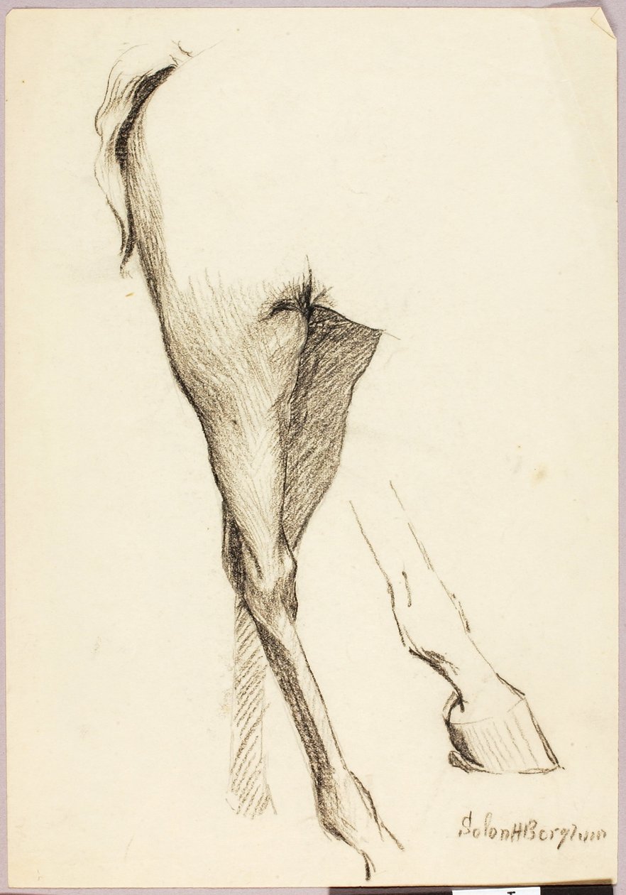  by Solon H. Borglum