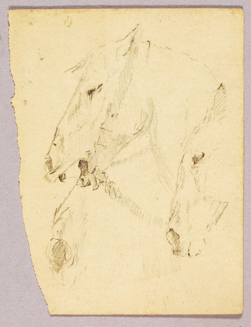  by Solon H. Borglum