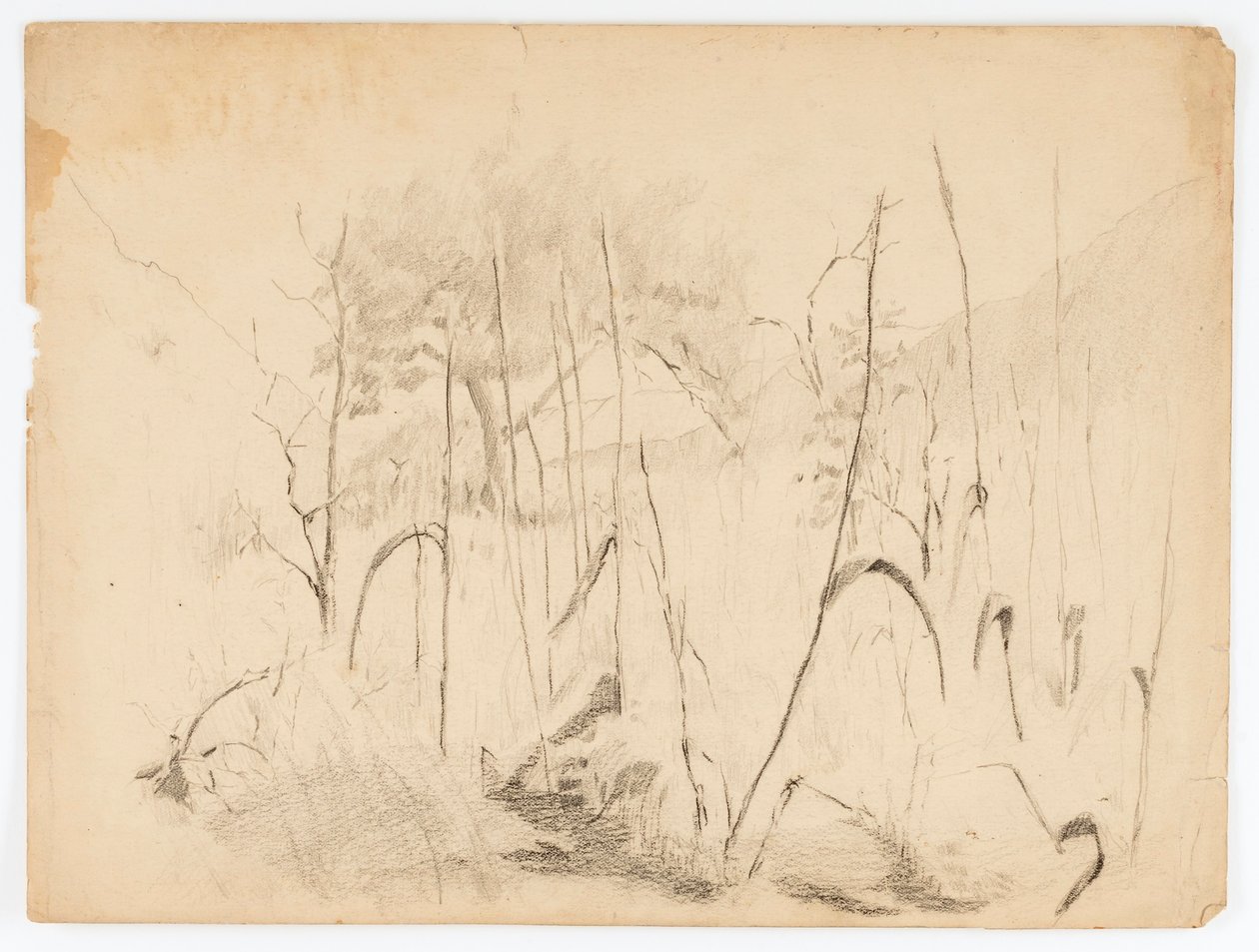  by Solon H. Borglum