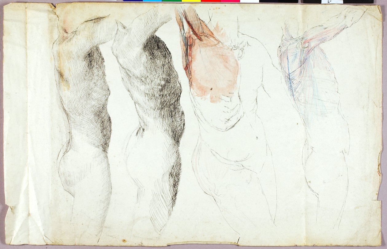  by Solon H. Borglum