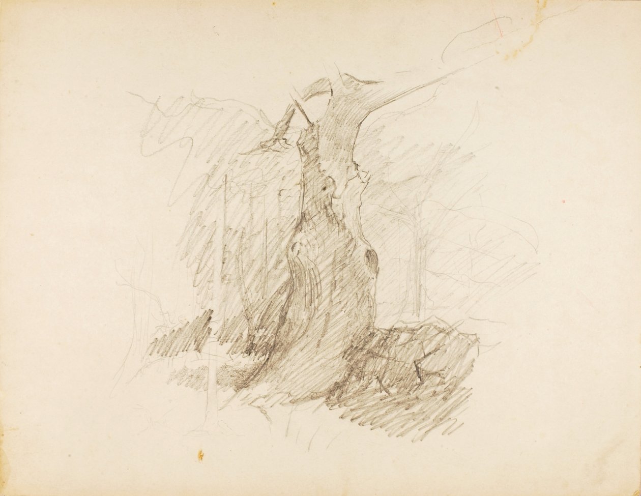 by Solon H. Borglum