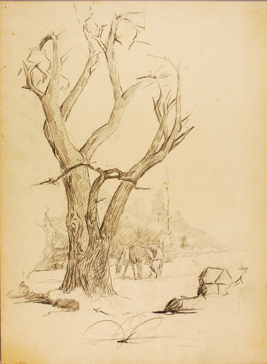  by Solon H. Borglum