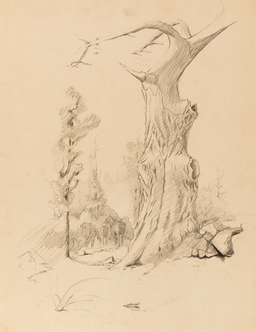İsimsiz by Solon H. Borglum