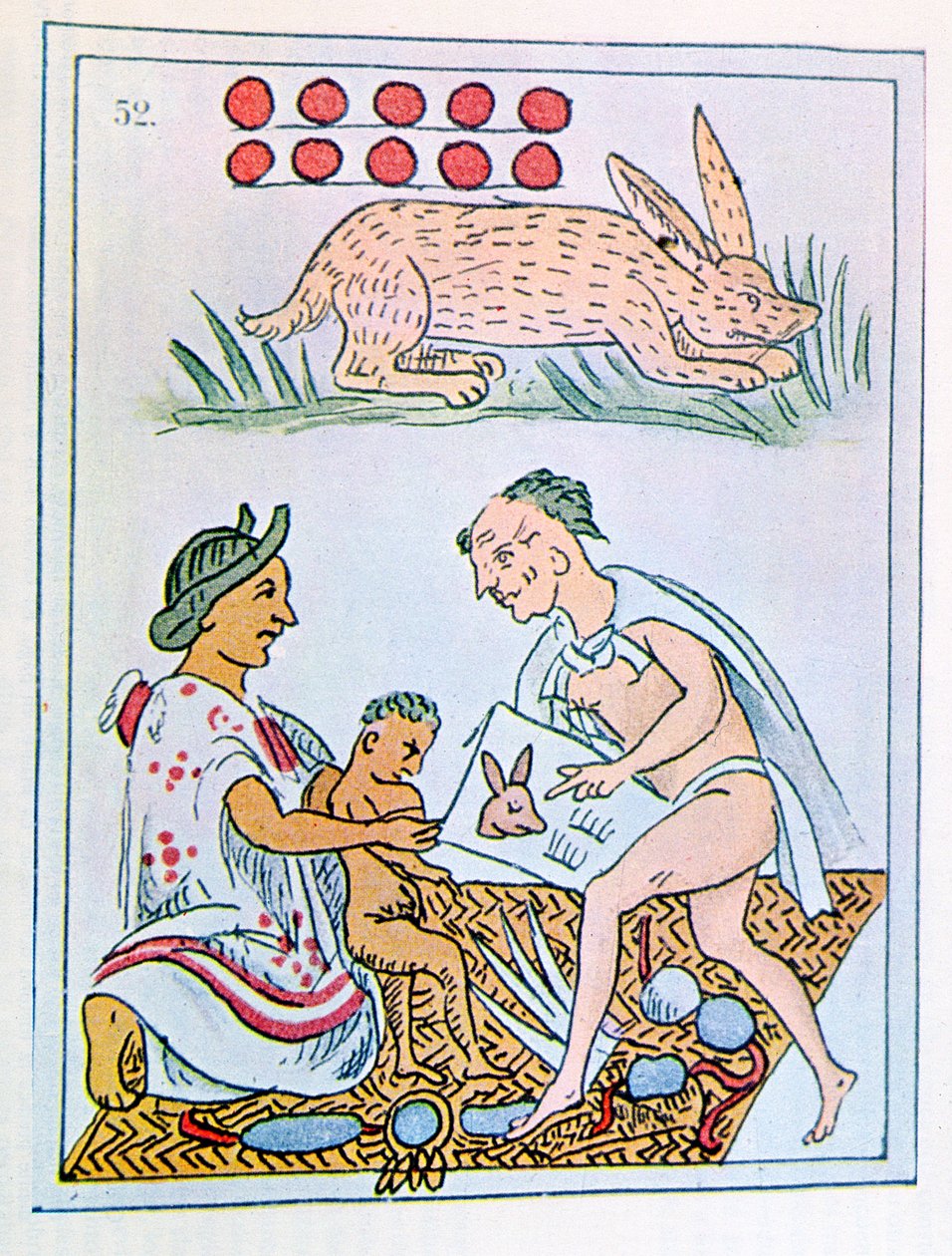 10 Tavşan