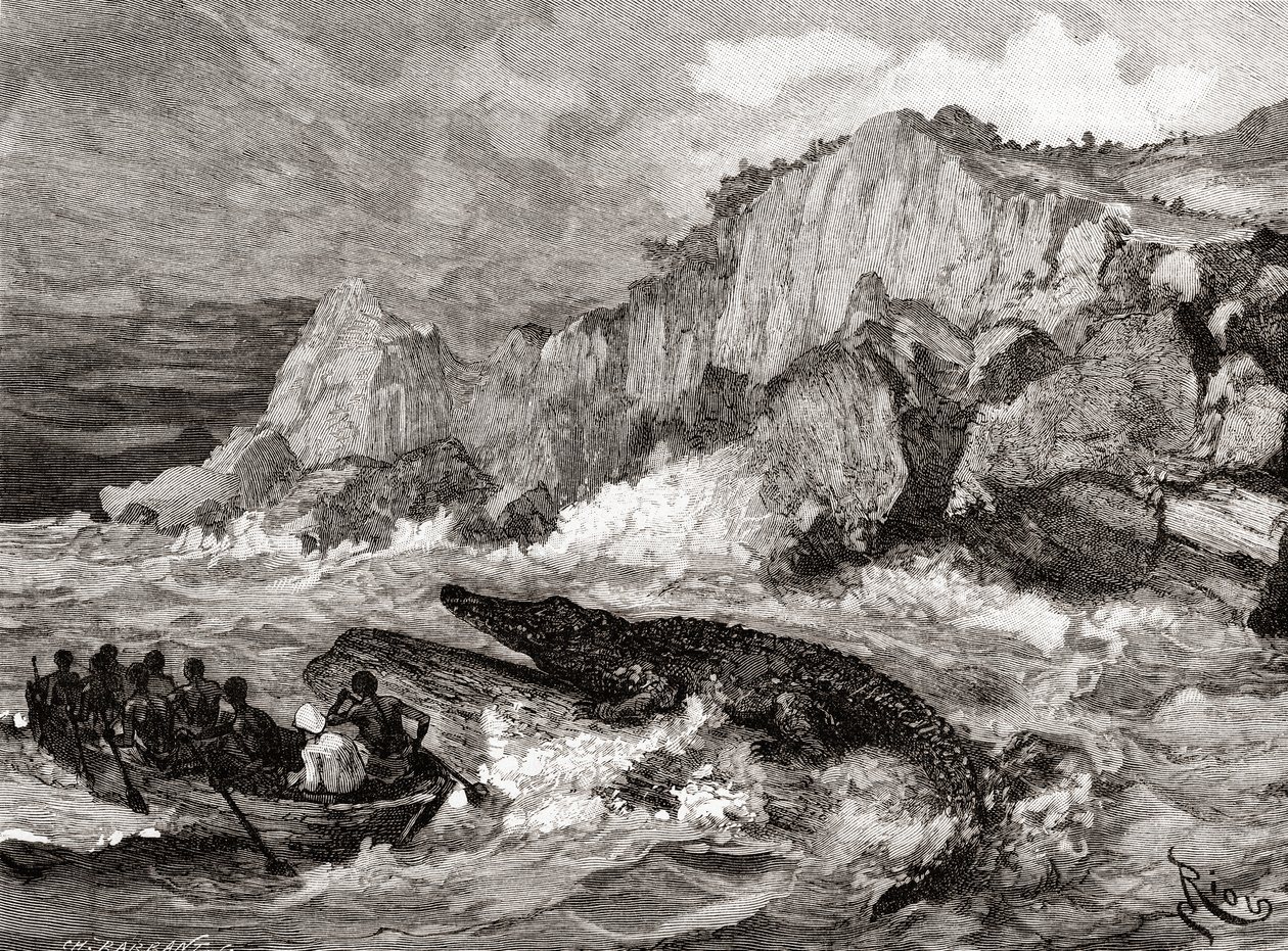 Dev timsah, 1888