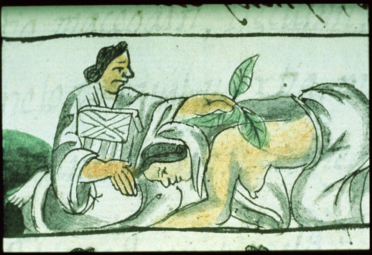 Bayan Palat. 218-220 Kitap IX Aztek ebe, doğumdan sonra bir kadına şifalı otlar veriyor, Bernardino de Sahagun