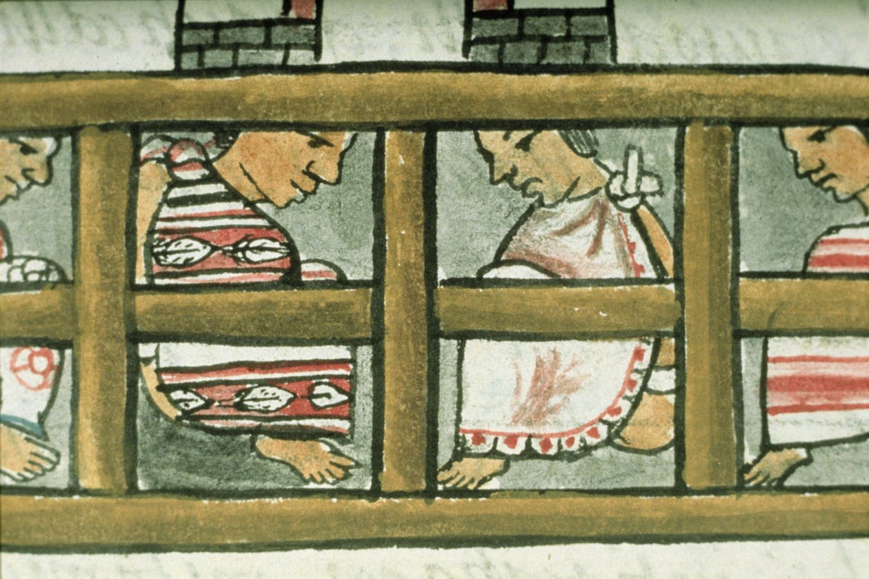 Bayan Palat. 218-220 Kitap IX Aztek mahkumları, Bernardino de Sahagun