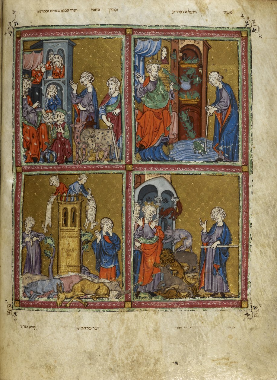 Ekle. 27210, f.12v Exodus
