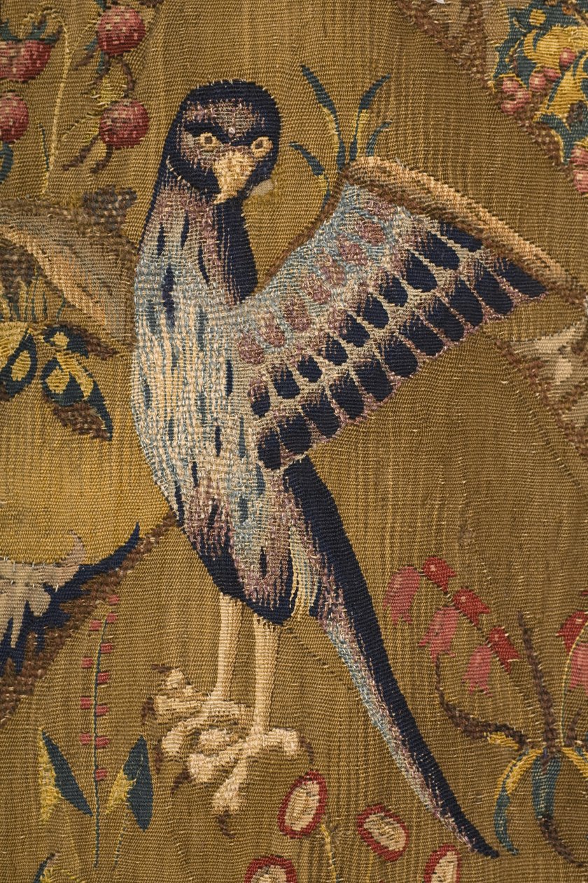 El Rapto de Helena