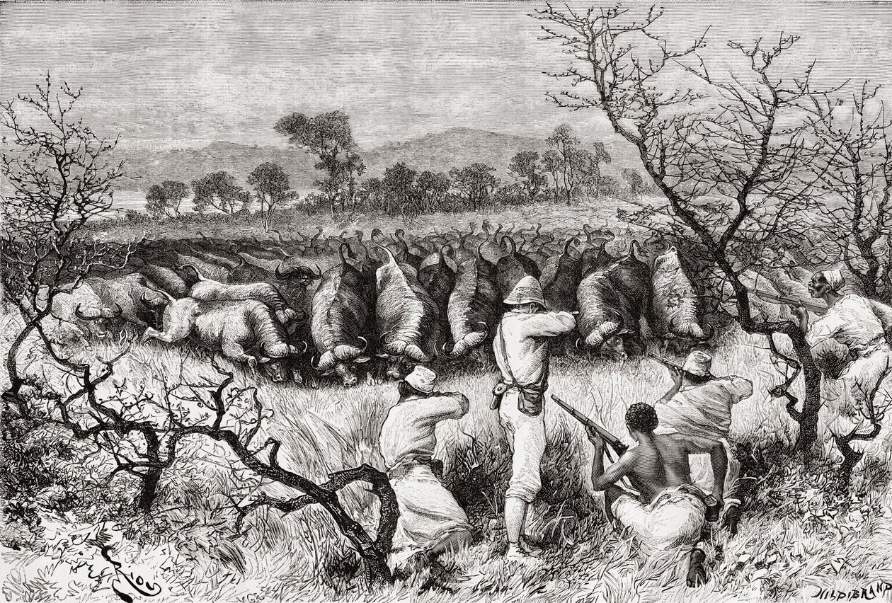19. yüzyılın sonlarında Orta Afrika