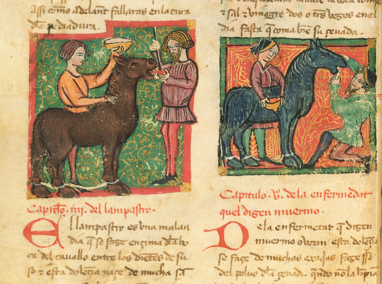 Ms 214 fol.26v Atta glossit tedavisi, Libro de Menescalcia y Albeyteria