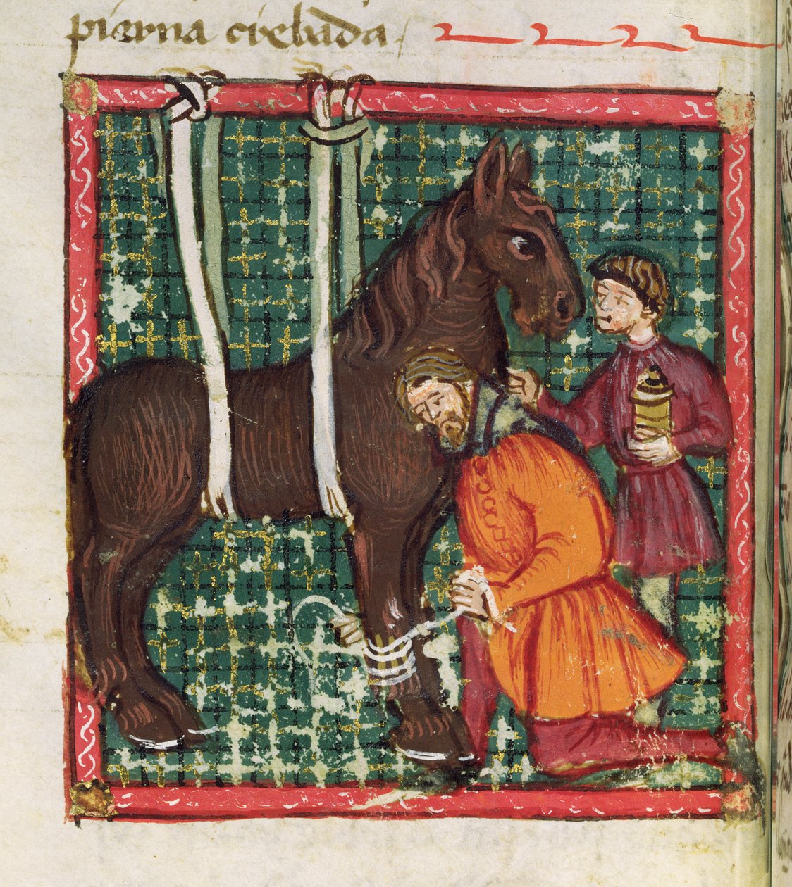 Ms 214 fol.31v Libro de Menescalcia y Albeyteria