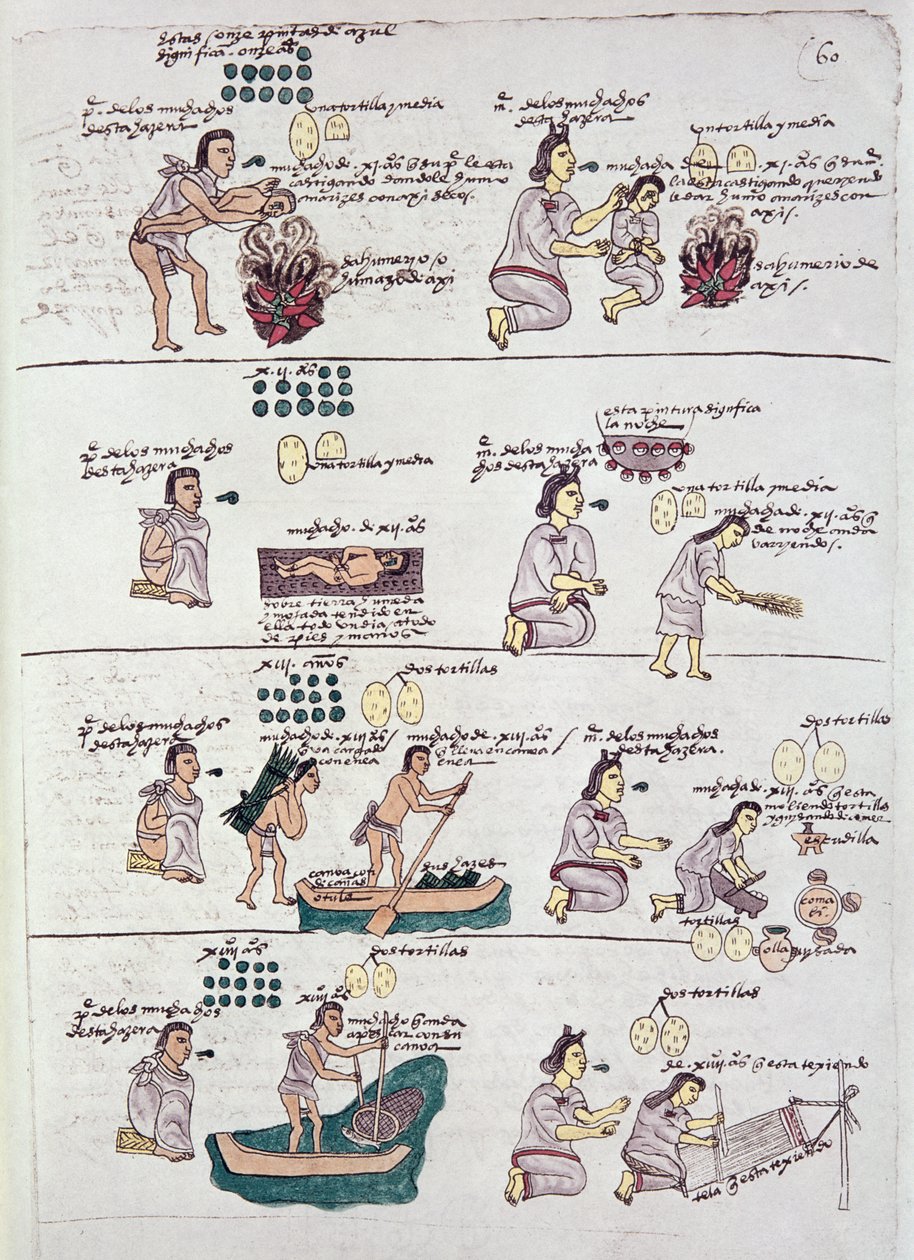 Codex Mendoza