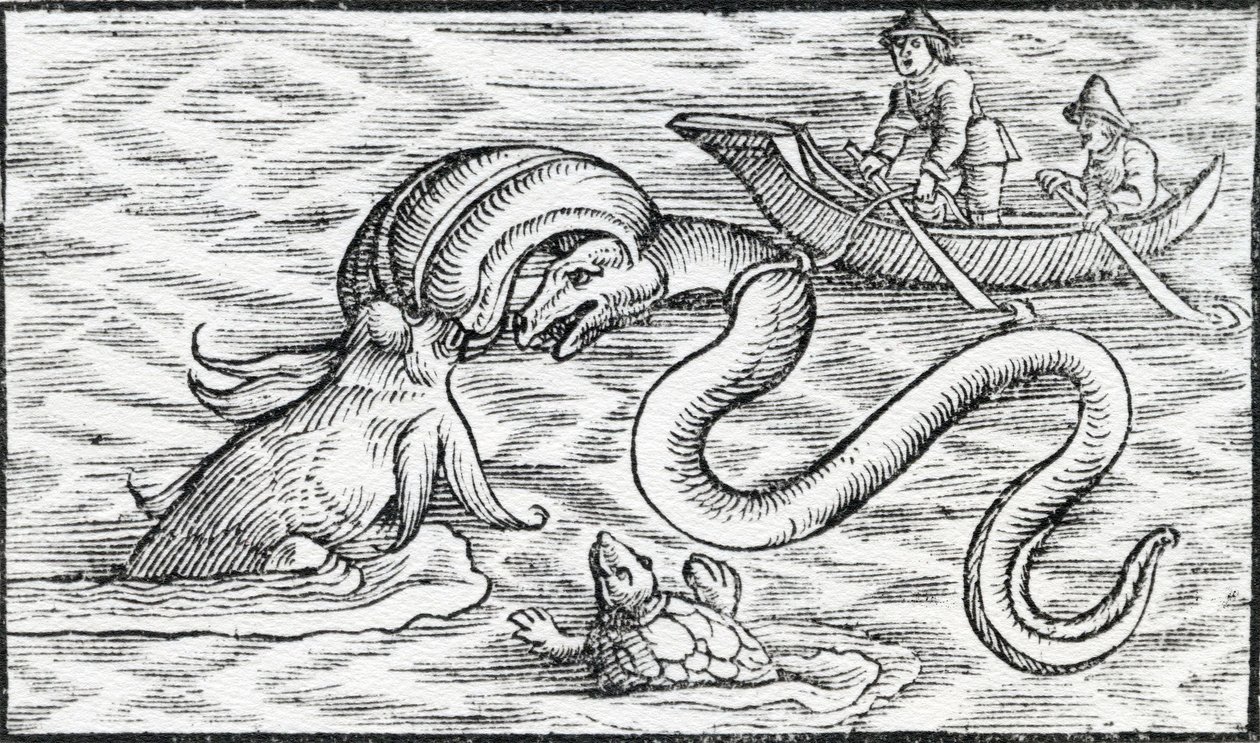 Deniz canavarları, 1511 by Spanish School
