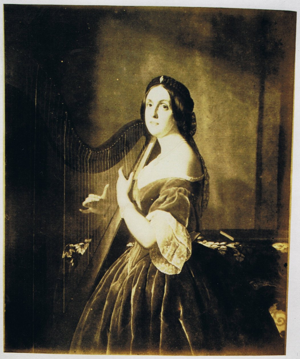  by Spiridione Gambardella
