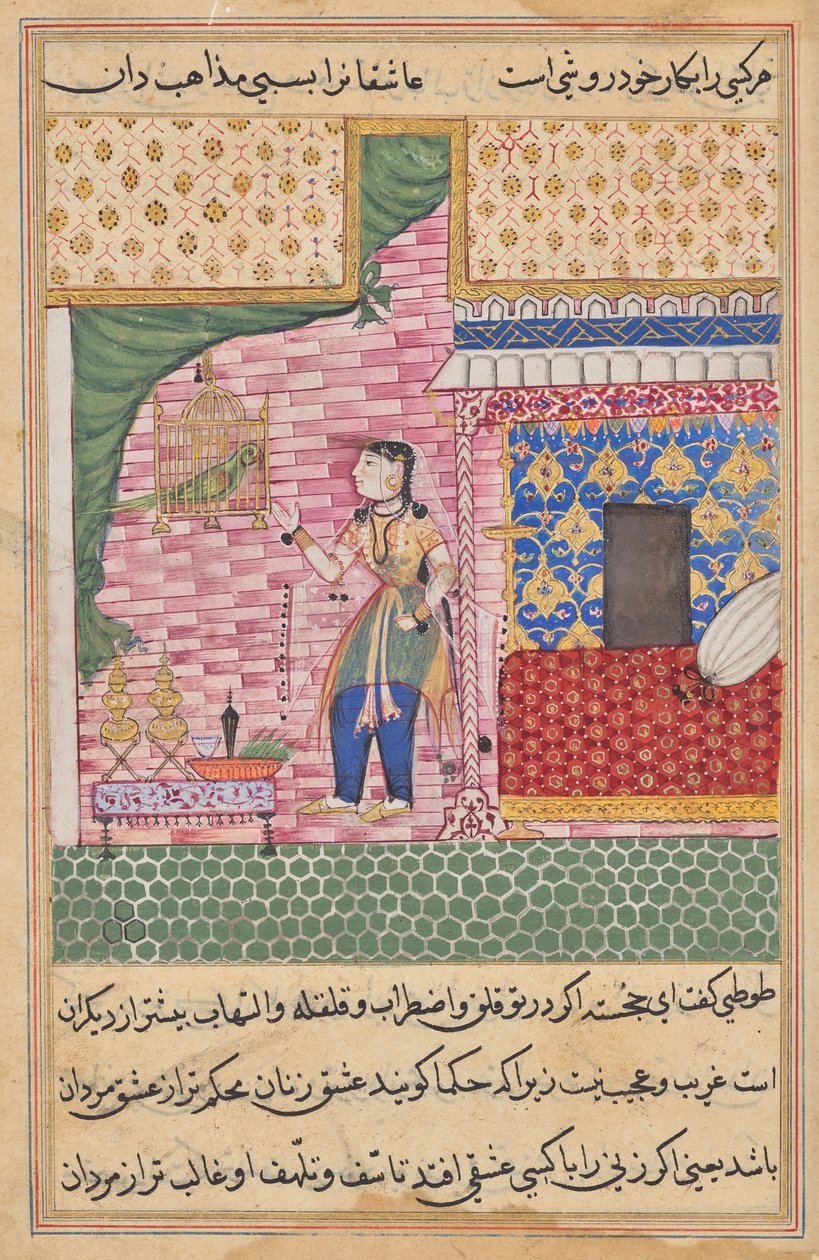 Papağan, Bir Tuti-nama