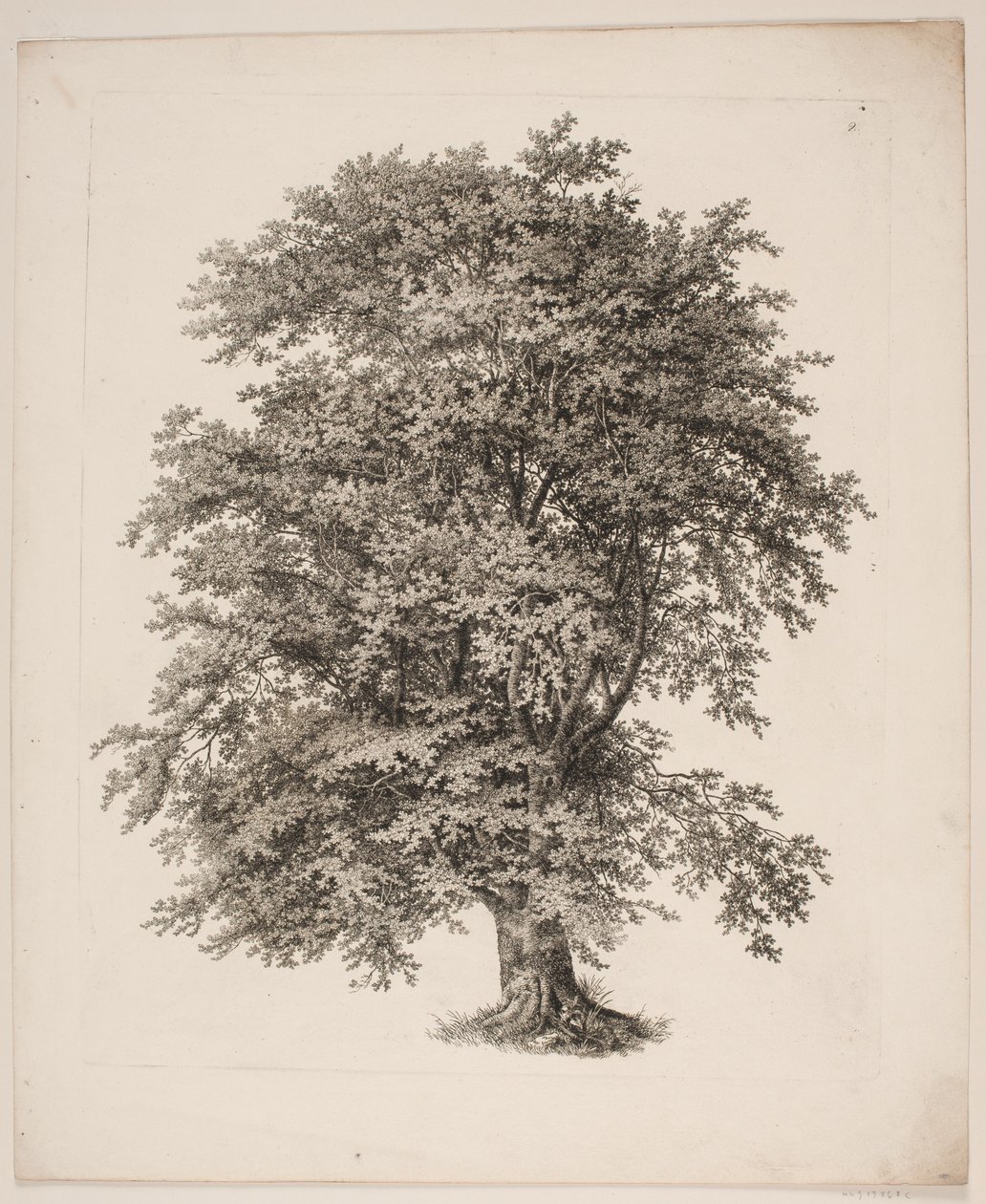 "Studier, Naturen med Hensyn til Landskabstegning af S.H. Petersen", nr. 2 by Søren Henrik Petersen