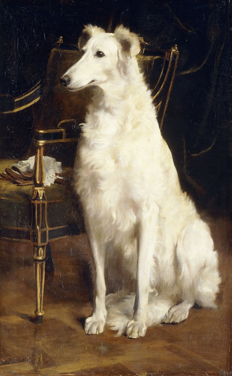 Sandalyenin Yanında Bir Borzoi by St. George Hare