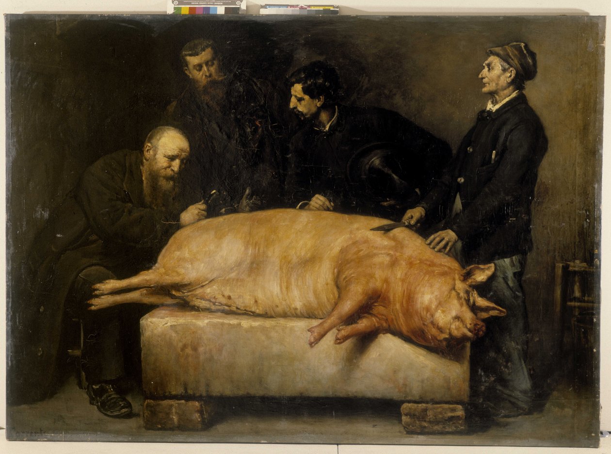 Striknin deneyi (kusmuk cevizden çıkarılan çok zehirli bir alkaloid) by Stanislas Torrents y de Amat