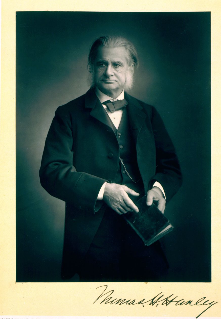 Profesör Thomas H. Huxley (1825-95), biyolog, portre fotoğrafı by Stanislaus Walery