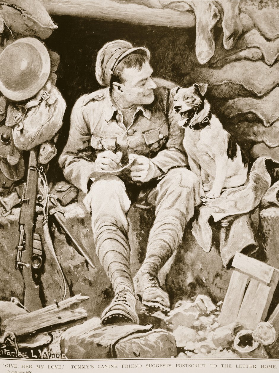 Giver her my Love, Tommys Canine Friend Suggests Postcript to the Letter Home, from War Illlustrated, c. 1916  by Stanley L. Wood