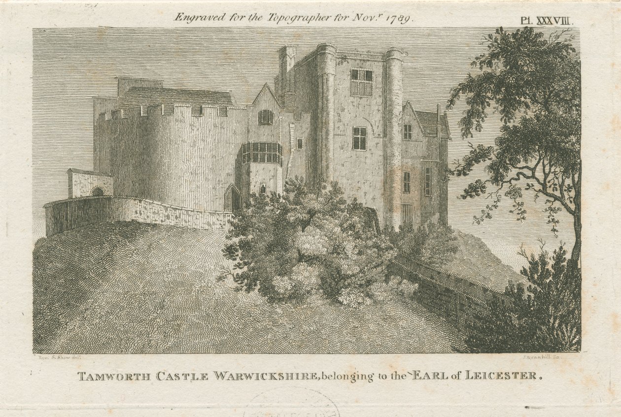 Tamworth Kalesi: gravür, nd [c 1799] (baskı) by Stebbing Shaw