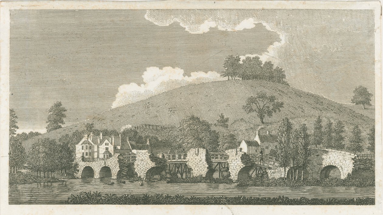 Wolseley Köprüsü: gravür, 1802 by Stebbing Shaw