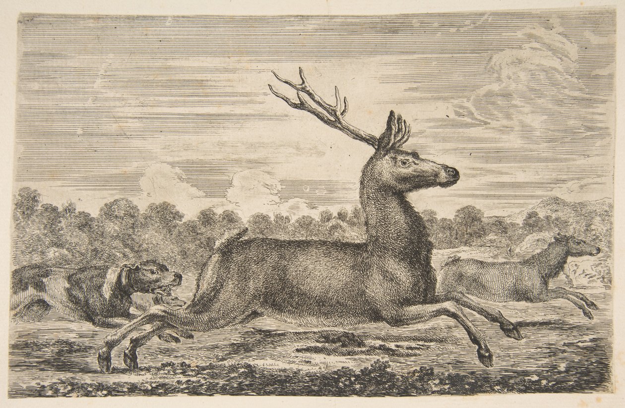 Geyik ve Geyik Kovalayan Köpekler, ca. 1654. by Stefano della Bella