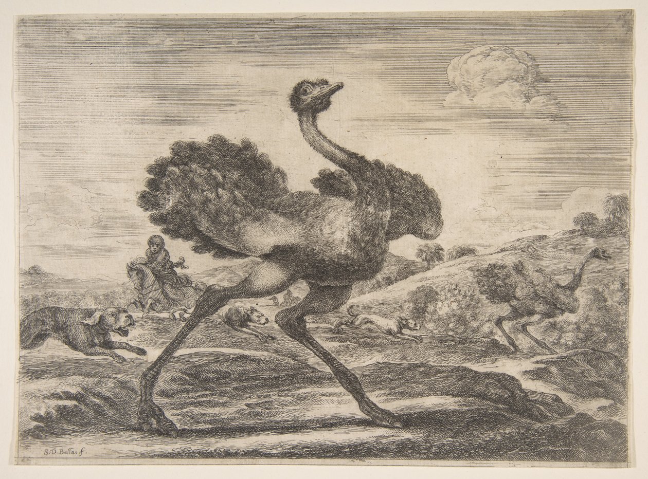 Devekuşu avı, Hayvan avlarından Farklı hayvanlar için avlar, ca. 1654. by Stefano della Bella