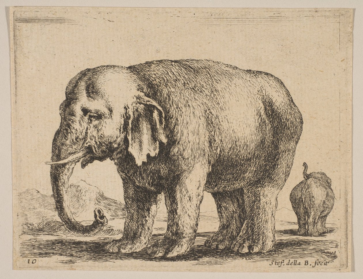 Levha 10: Fil, çeşitli hayvanlardan Diversi animali, ca. 1641. by Stefano della Bella