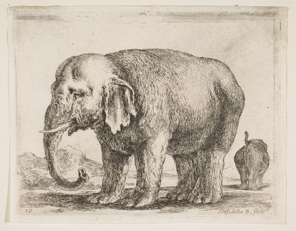 Levha 10: Fil, çeşitli hayvanlardan Diversi animali, ca. 1641. by Stefano della Bella