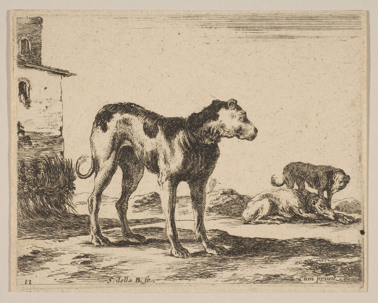 Levha 11: Köpekler, çeşitli hayvanlardan Diversi animali, yakl. 1641. by Stefano della Bella