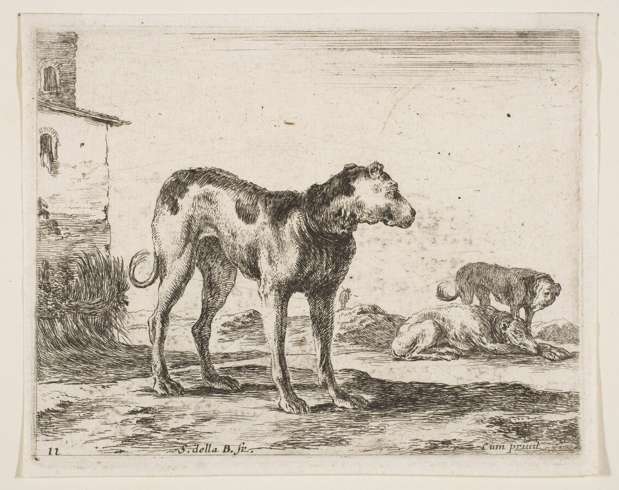 Levha 11: Köpekler, çeşitli hayvanlardan Diversi animali, yakl. 1641. by Stefano della Bella