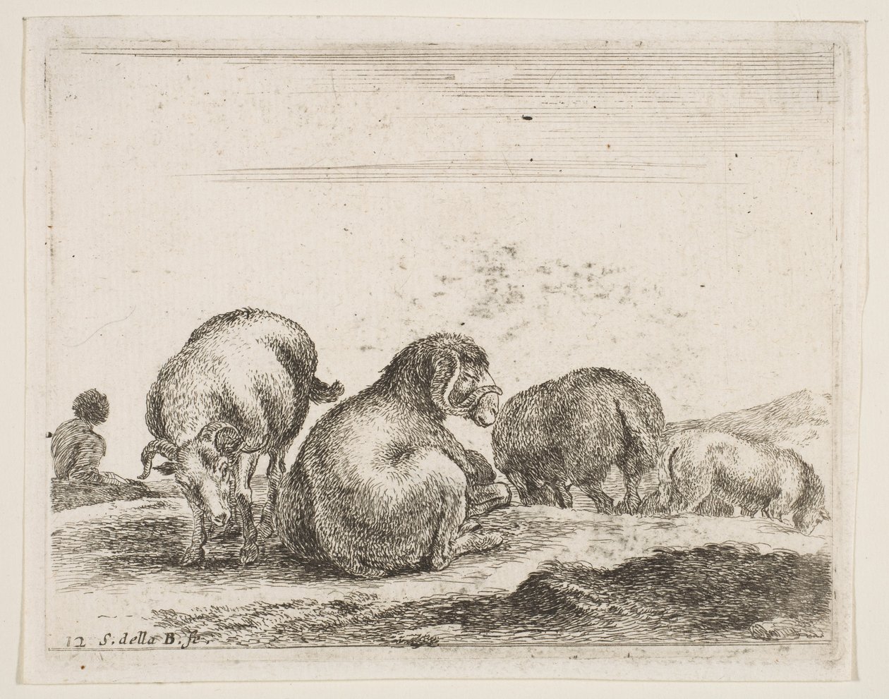 Levha 12: Bir merada koyun ve koç, çeşitli hayvanlardan Diversi animali, ca. 1641. by Stefano della Bella