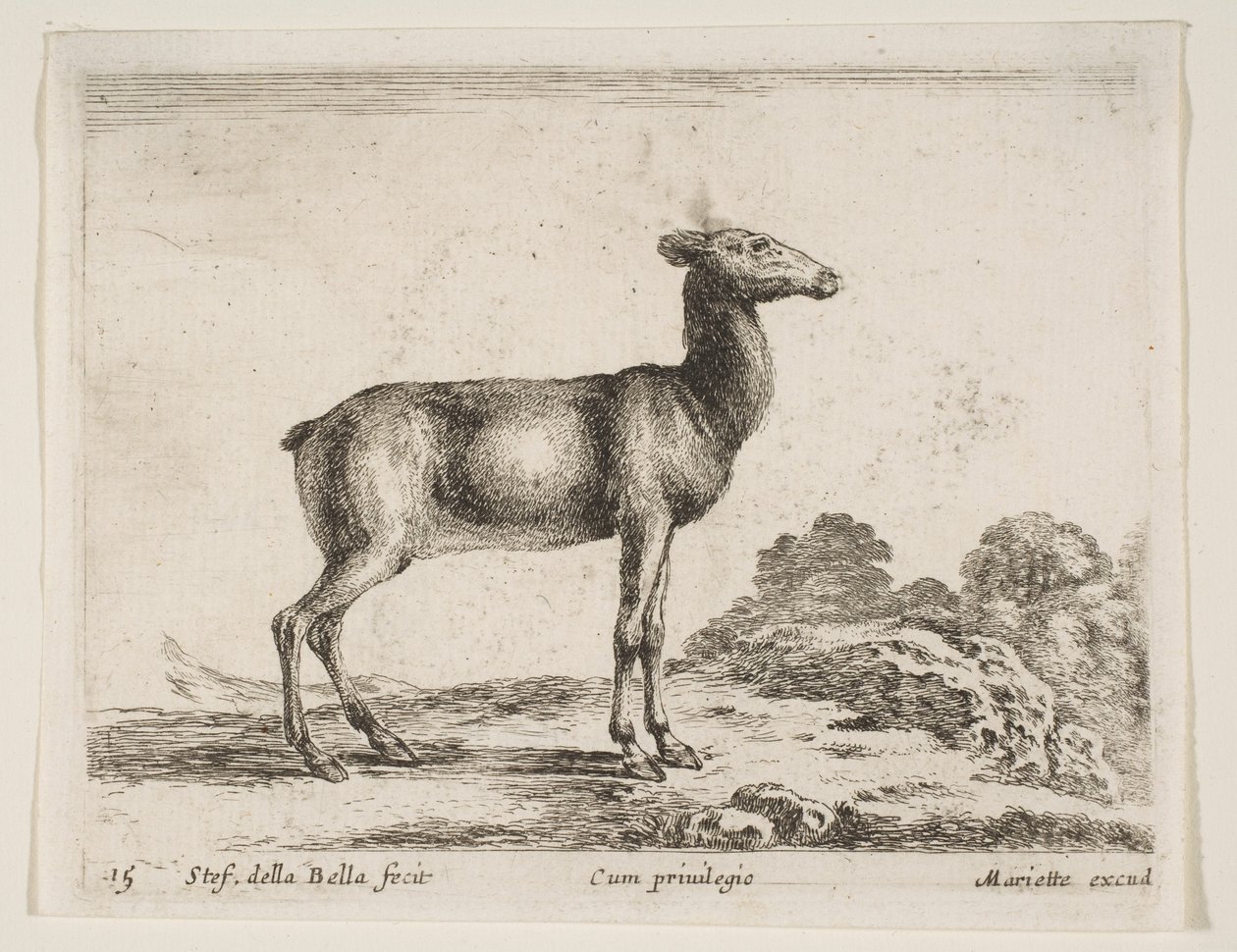 Levha 15: Doe, çeşitli hayvanlardan Diversi animali, yakl. 1641. by Stefano della Bella