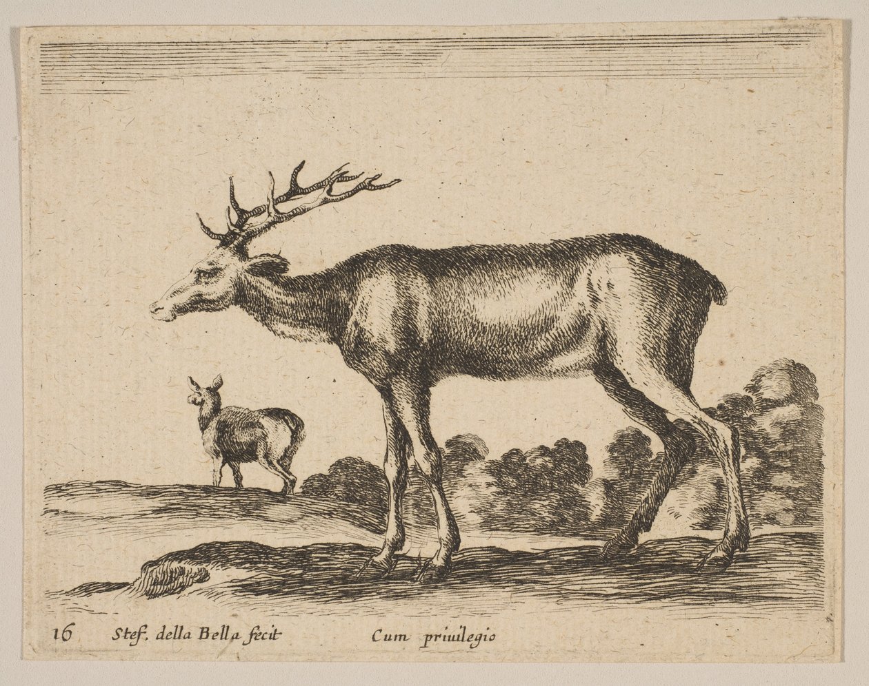 Levha 16: geyik, çeşitli hayvanlardan Diversi animali, yakl. 1641. by Stefano della Bella