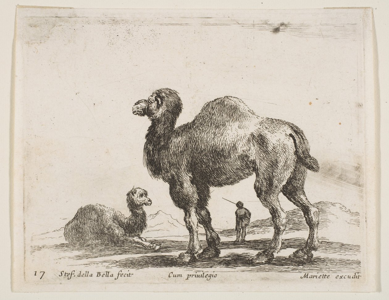 Levha 17: Çeşitli hayvanlardan develer Diversi animali, yakl. 1641. by Stefano della Bella