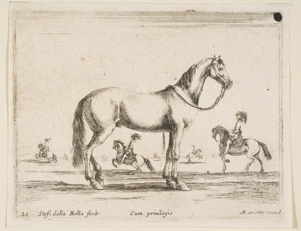 Levha 21: Çeşitli hayvanlardan at, Diversi animali, 1641. by Stefano della Bella