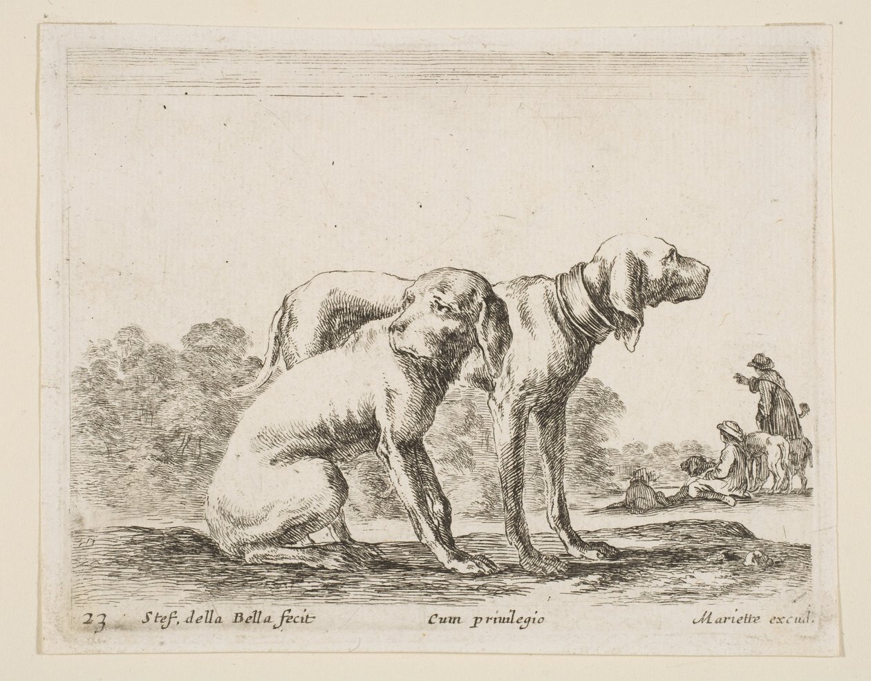 Levha 23: Çeşitli hayvanlardan iki tazı Diversi animali, yaklaşık. 1641. by Stefano della Bella