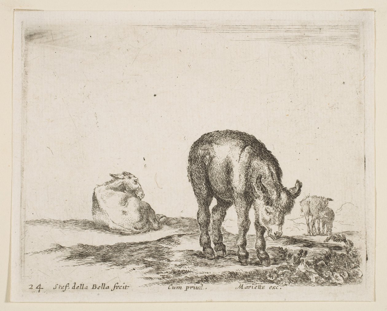 Levha 24: Çeşitli hayvanlardan eşekler Diversi animali, yakl. 1641. by Stefano della Bella