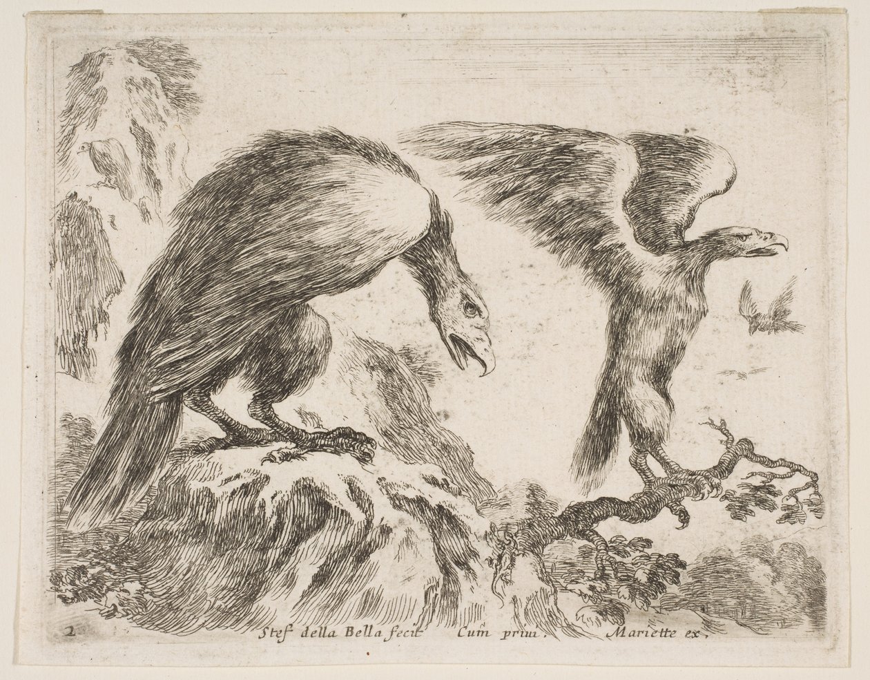 Levha 2: Çeşitli hayvanlardan kartal ve kartal, Diversi animali, yakl. 1641. by Stefano della Bella