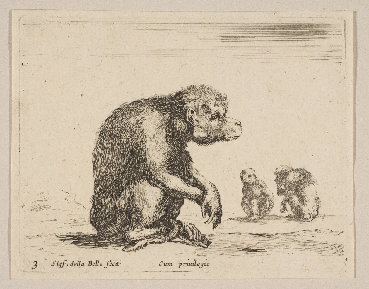 Levha 3: Oturan maymun, çeşitli hayvanlardan Diversi animali, yaklaşık. 1641. by Stefano della Bella
