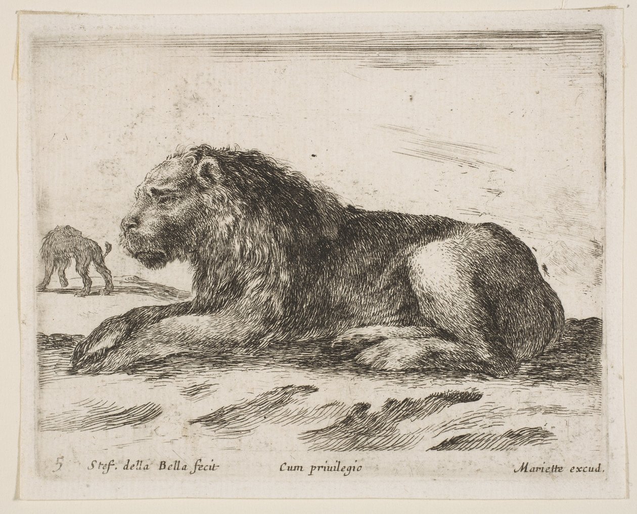 Levha 5: Yatan aslan, çeşitli hayvanlardan Diversi animali, 1641. by Stefano della Bella