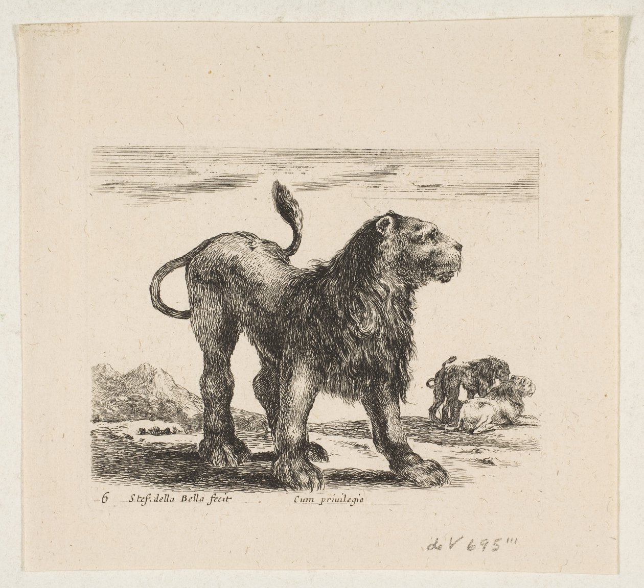 Levha 6: Aslan, 