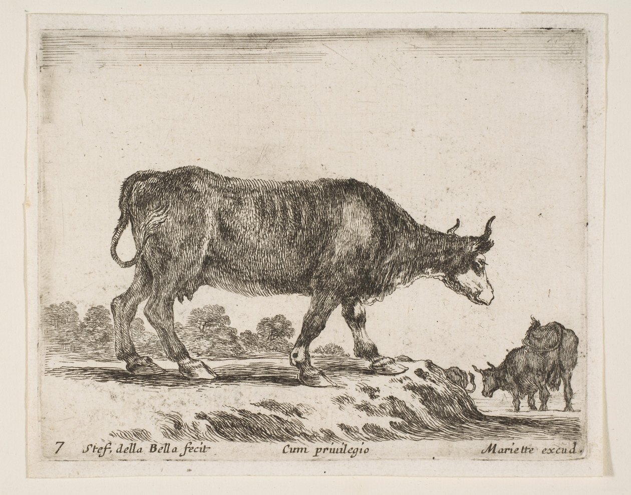 Levha 7: öküz, çeşitli hayvanlardan Diversi animali, ca. 1641. by Stefano della Bella