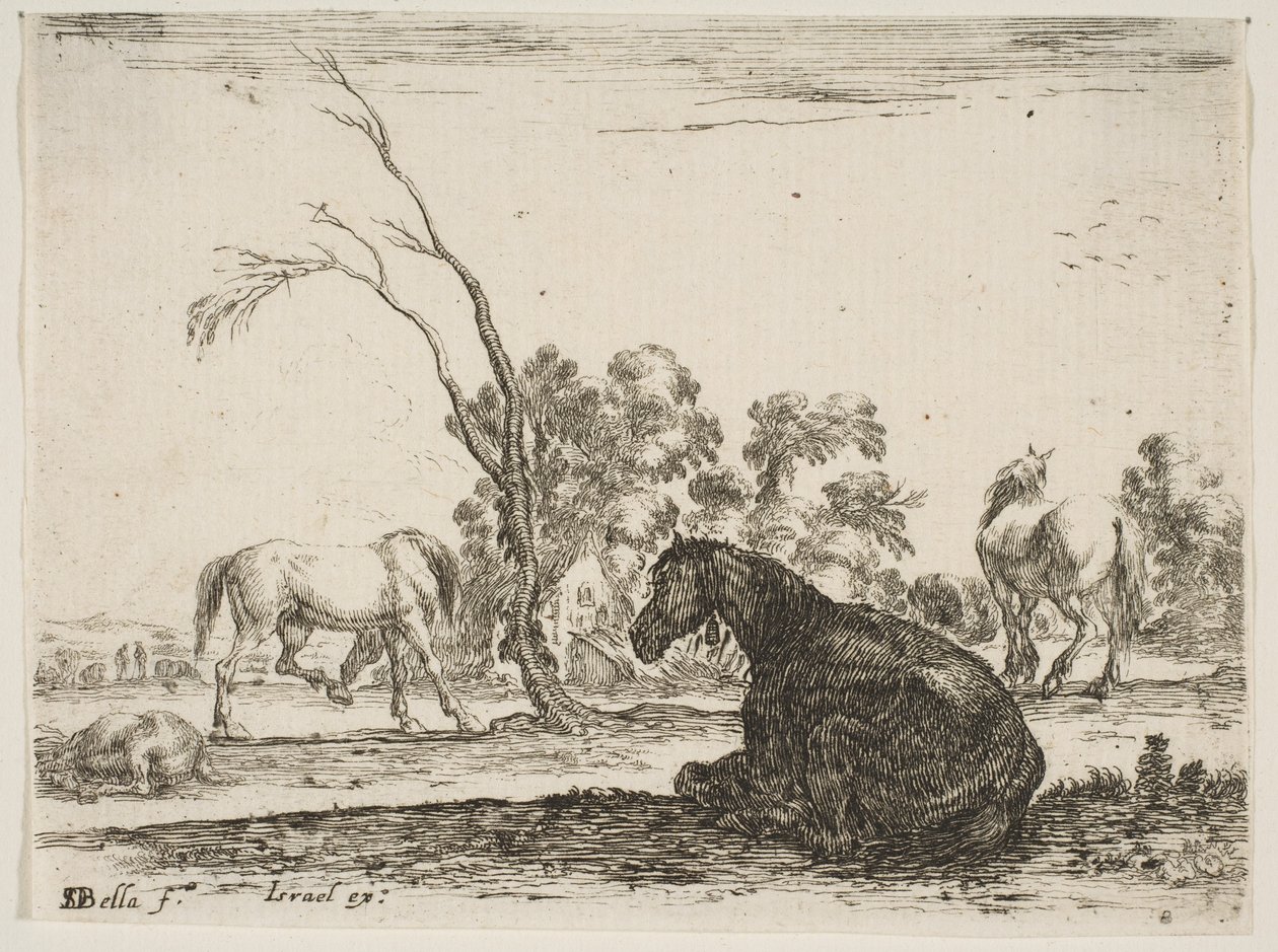 Levha 8: Sağda oturan, arkadan görülen ve sola dönen bir at, diğer üç hor..., 1642. by Stefano della Bella