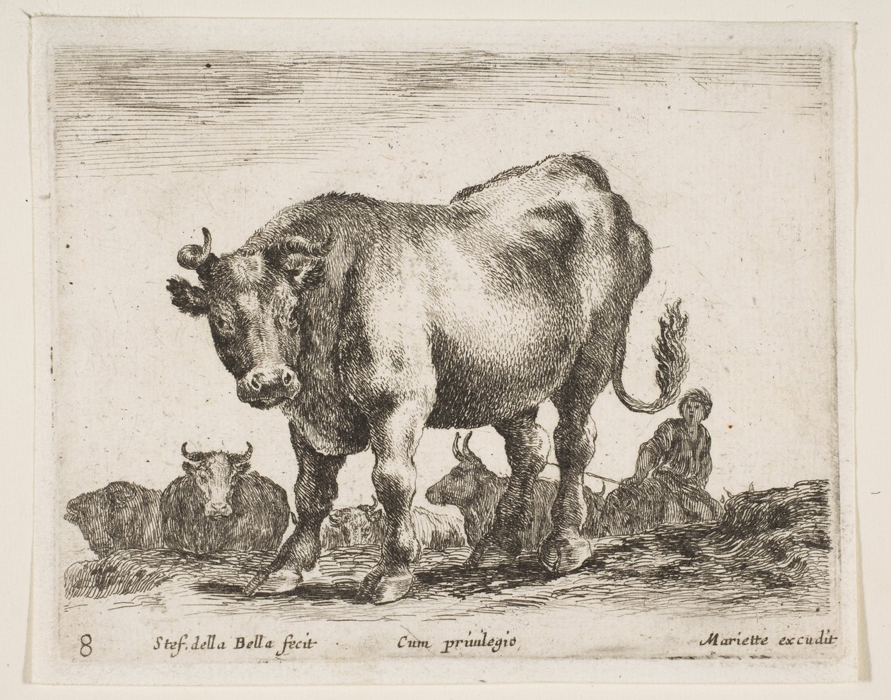 Plaka 8: inek, çeşitli hayvanlardan Diversi animali, yakl. 1641. by Stefano della Bella