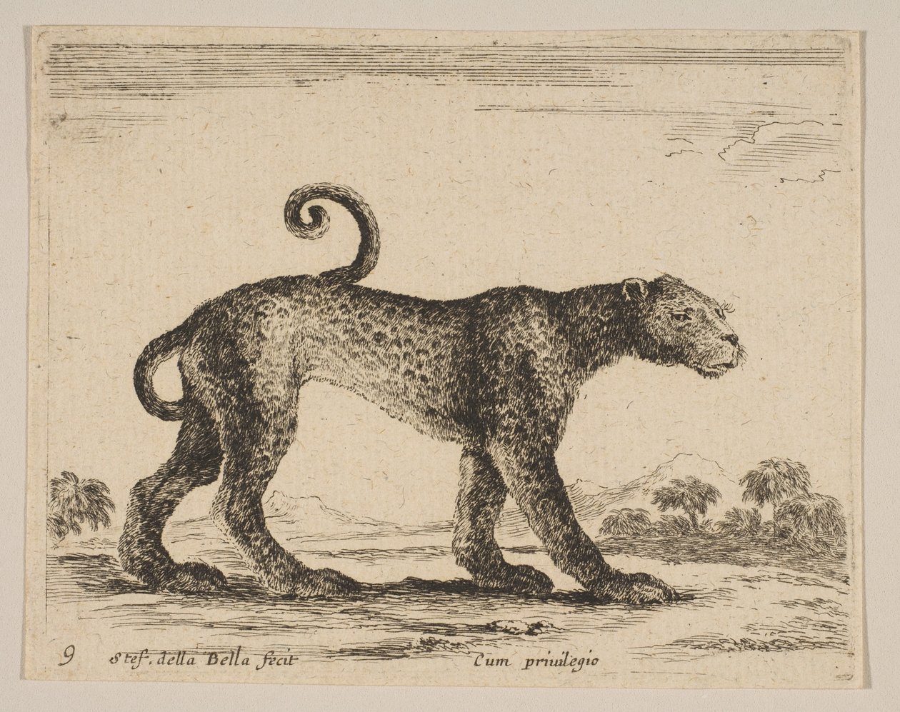 Levha 9: leopar, çeşitli hayvanlardan Diversi animali, yakl. 1641. by Stefano della Bella