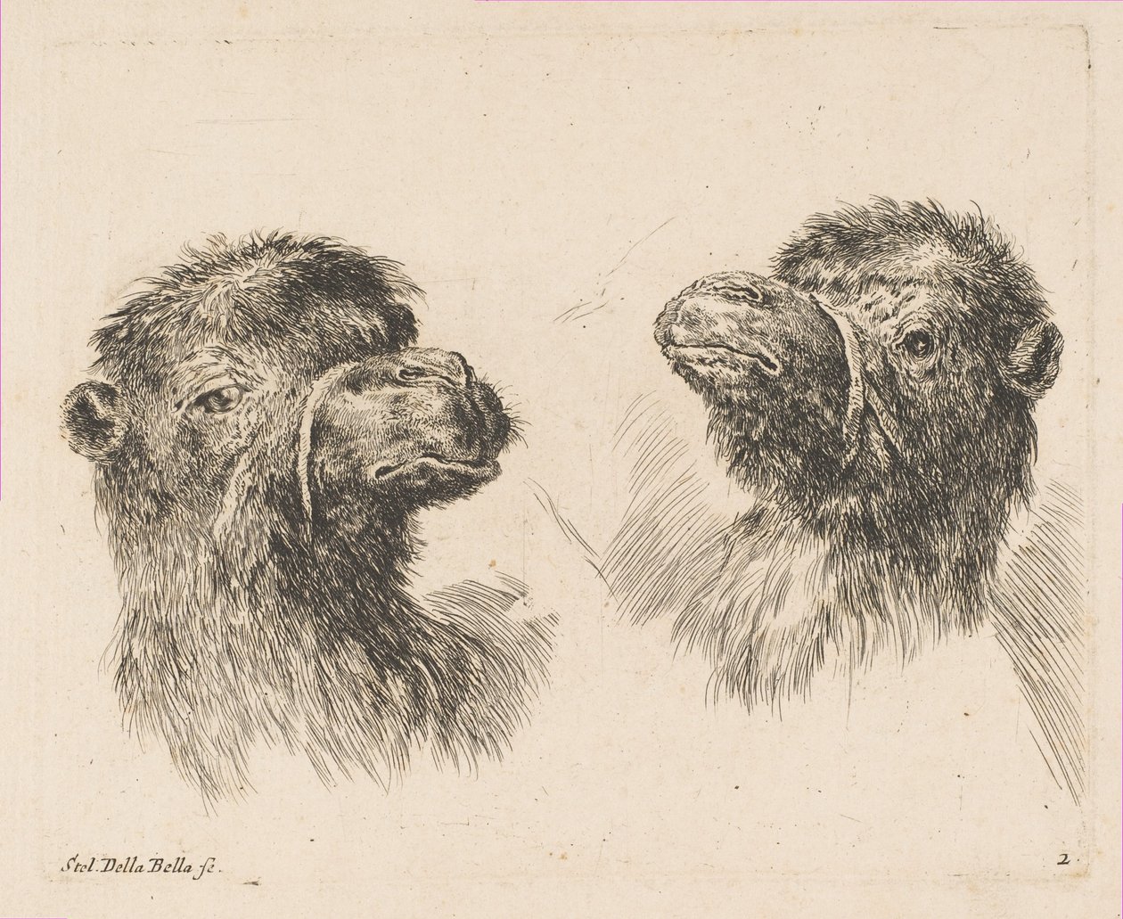 İki Deve Başı, ca. 1641. by Stefano della Bella