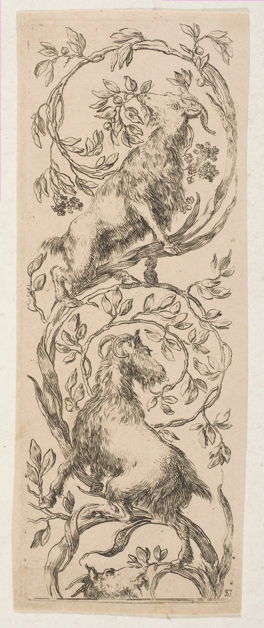 İki Keçi Nibbling Dalları, yaklaşık. 1653. by Stefano della Bella